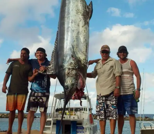 Akura Fishing Charters photo 5