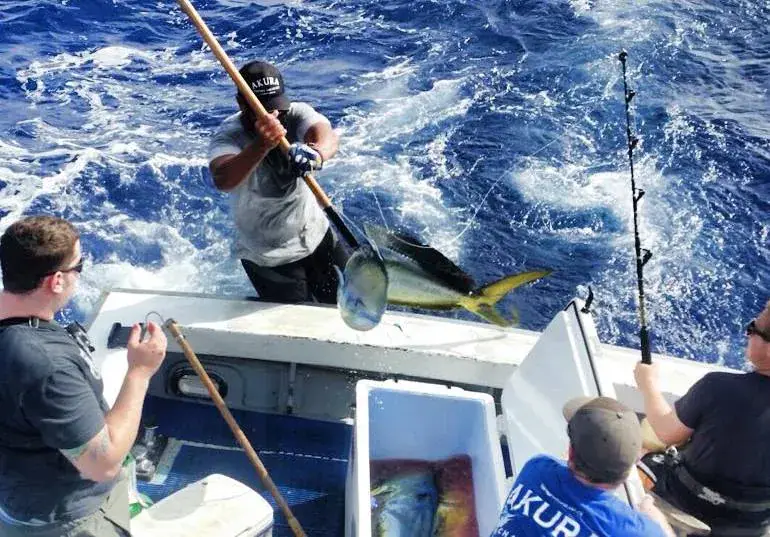 Akura Fishing Charters photo 11