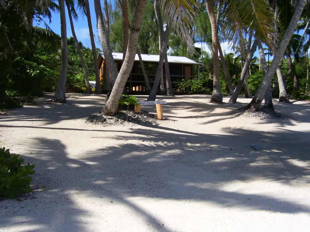 Amuri Sands photo 2
