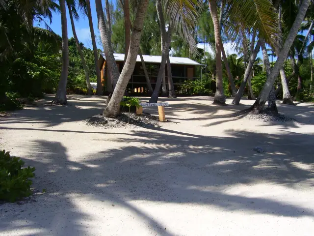 Amuri Sands photo 2