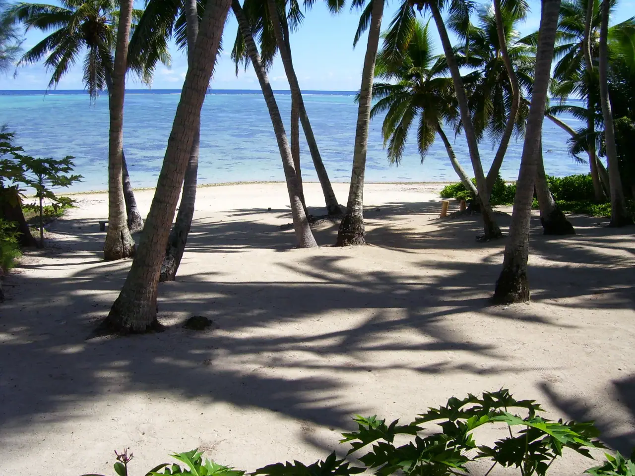 Amuri Sands photo 8