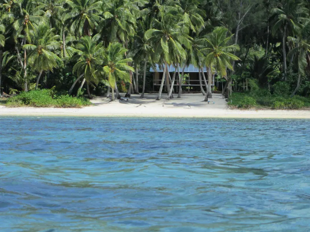 Amuri Sands photo 3