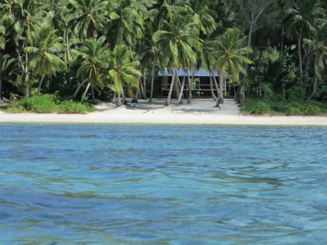 Amuri Sands photo 3