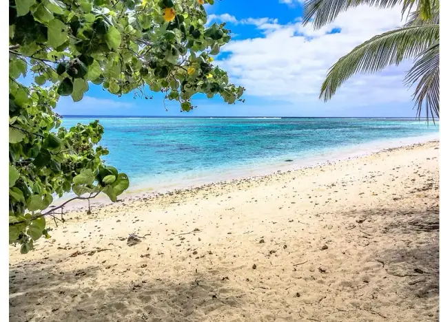 Aro'a Beachfront House photo 2