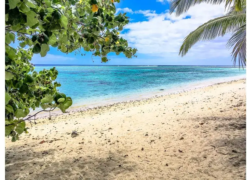 Aro'a Beachfront House photo 2