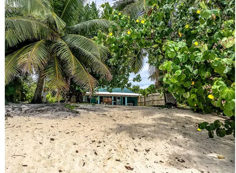 Aro'a Beachfront House photo 10