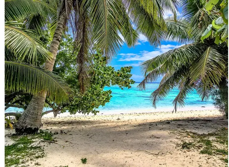 Aro'a Beachfront House photo 9