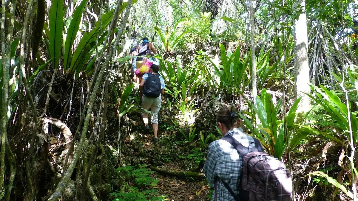 Atiu Eco-Adventure Anatakitaki Cave Tour photo 2