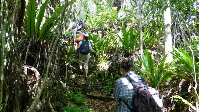 Atiu Eco-Adventure Anatakitaki Cave Tour photo 2
