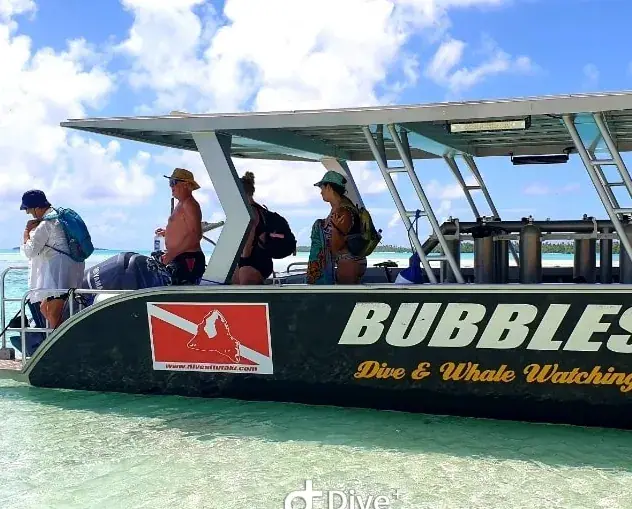Dive Aitutaki with Bubbles Below