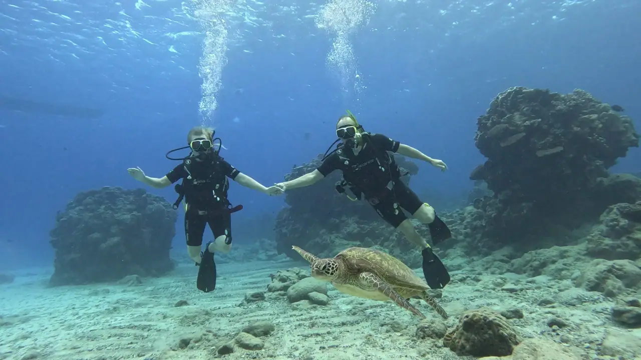 Dive Rarotonga Ltd photo 8