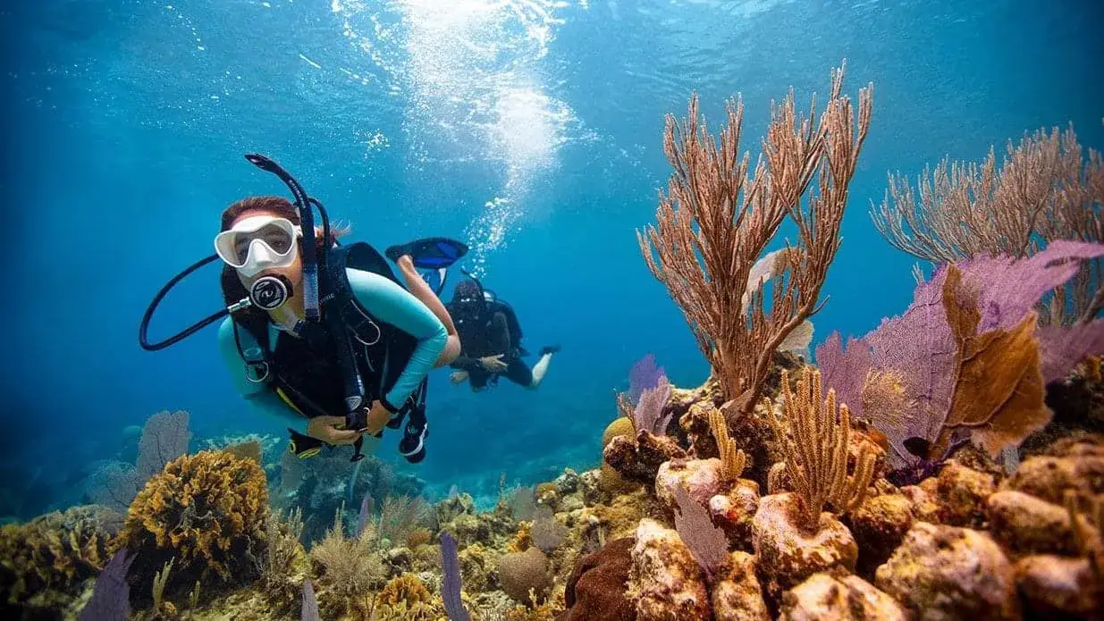 Dive Rarotonga Ltd photo 5