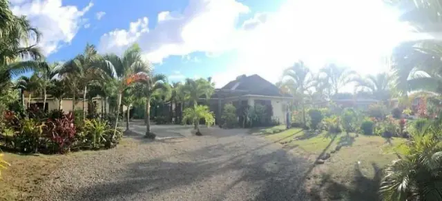 Dorothys Muri Beach Bungalows photo 2