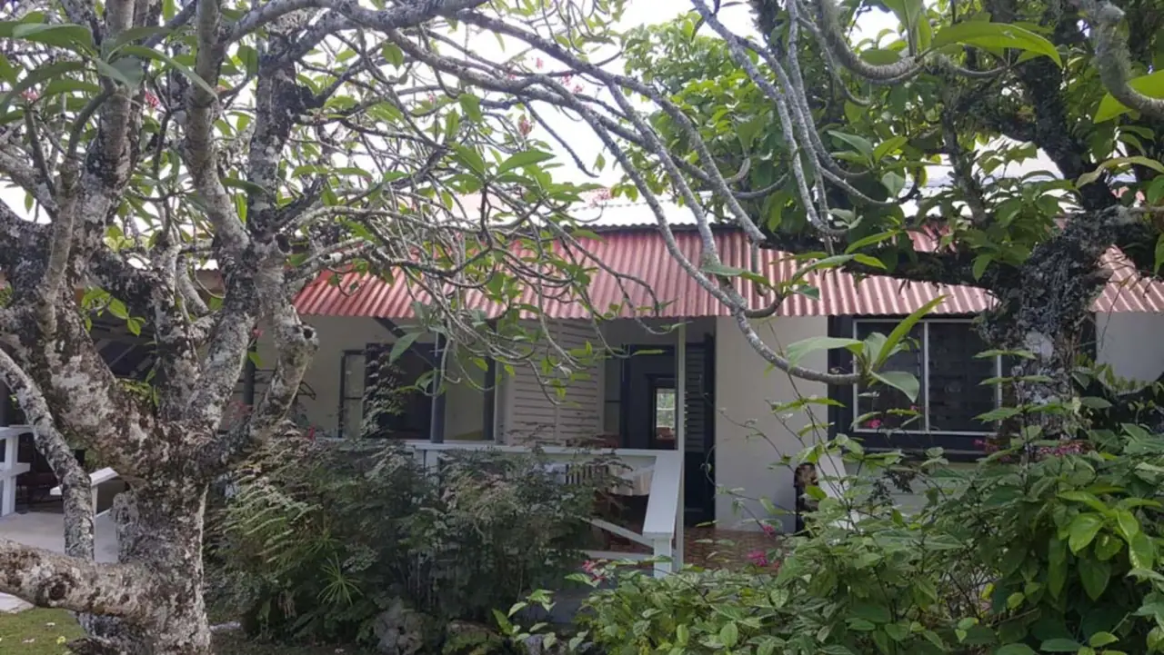 Emily's at Panama photo 8