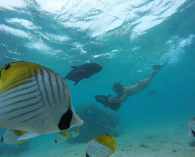 KiteSUP Intro Snorkel Tour