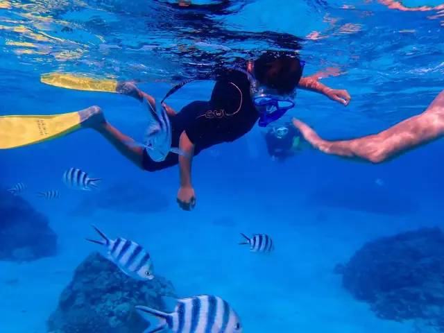 KiteSUP Intro Snorkel Tour photo 2