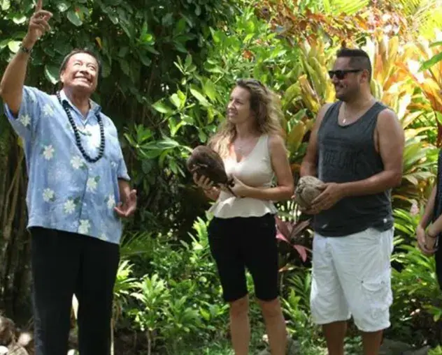 Island Discovery Tour with Raro Tours