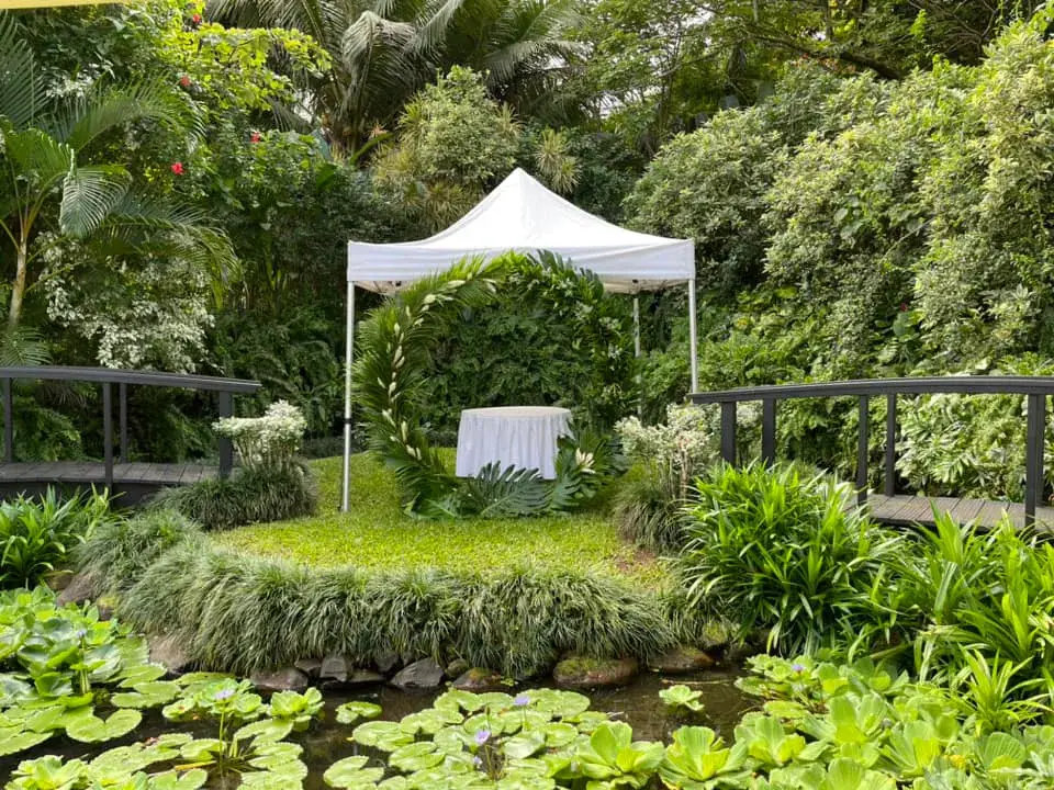 Maire Nui Gardens photo 9