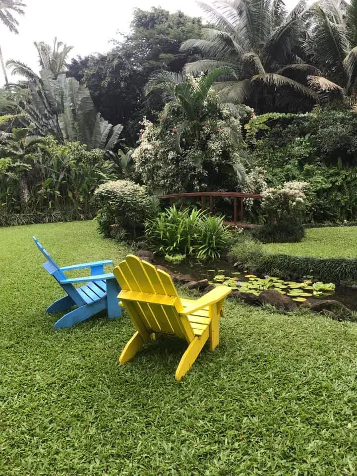 Maire Nui Gardens photo 3