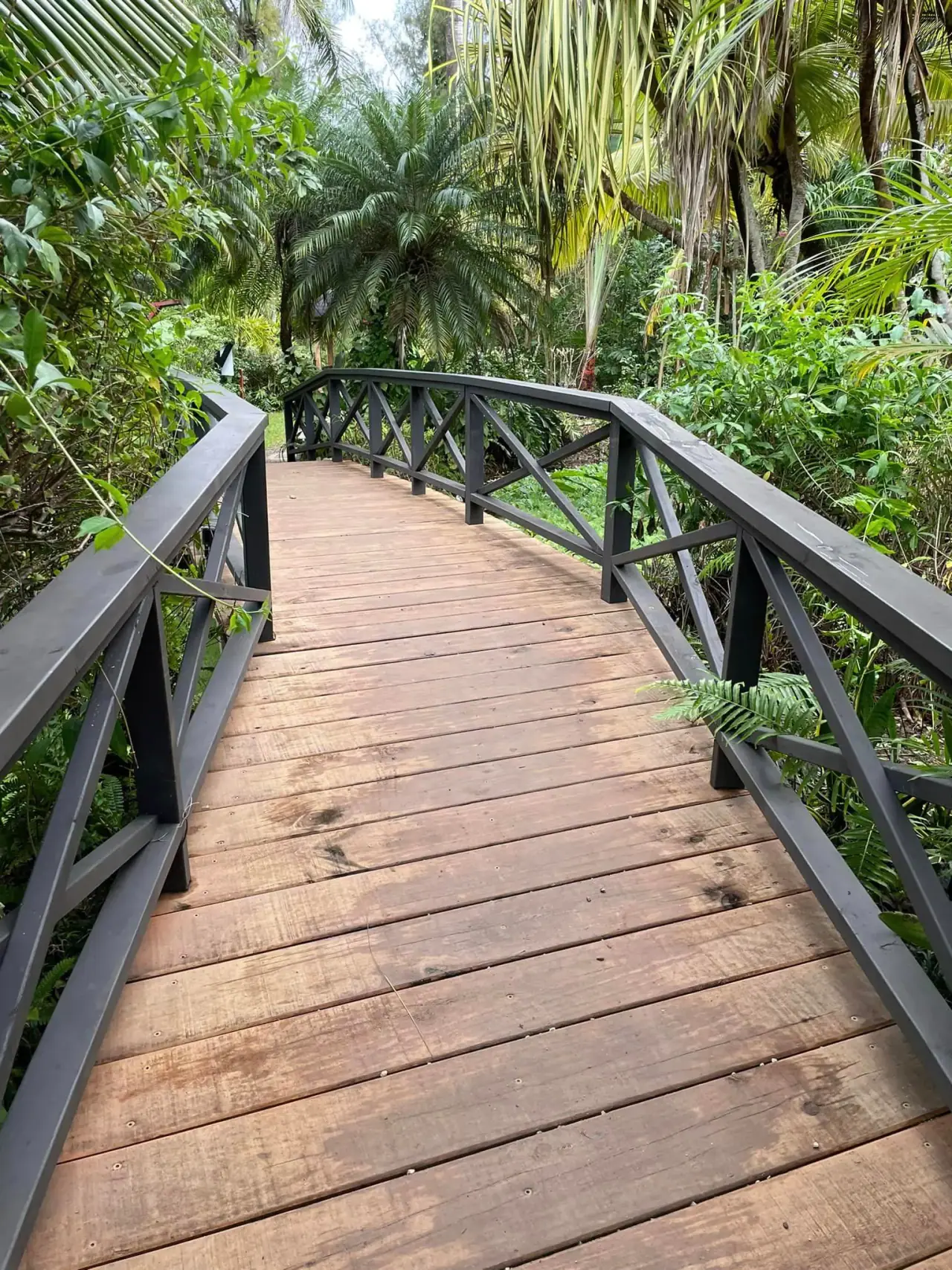 Maire Nui Gardens photo 8