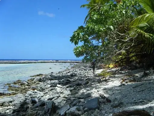Manihiki Lagoon Villas photo 4