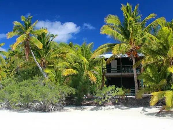 Mc Birney House - One Foot Island photo 3