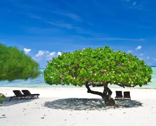 Etu Moana Beach Villas