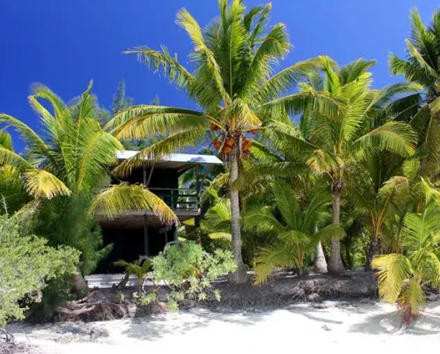 Mc Birney House - One Foot Island