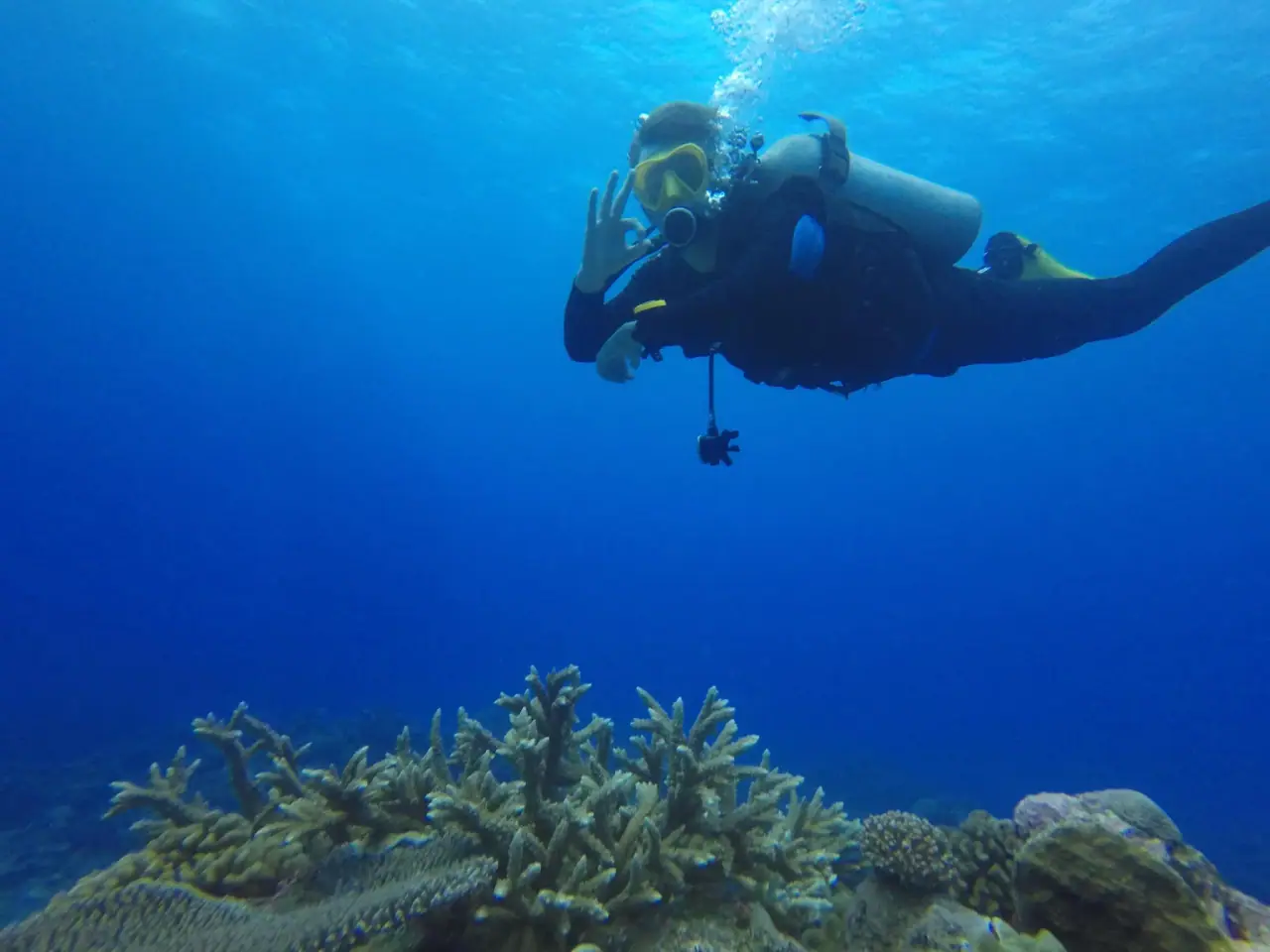 Pacific Divers photo 9