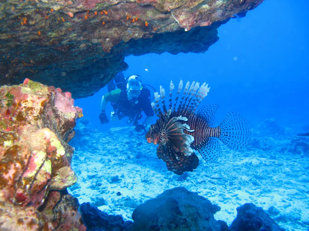 Pacific Divers photo 7