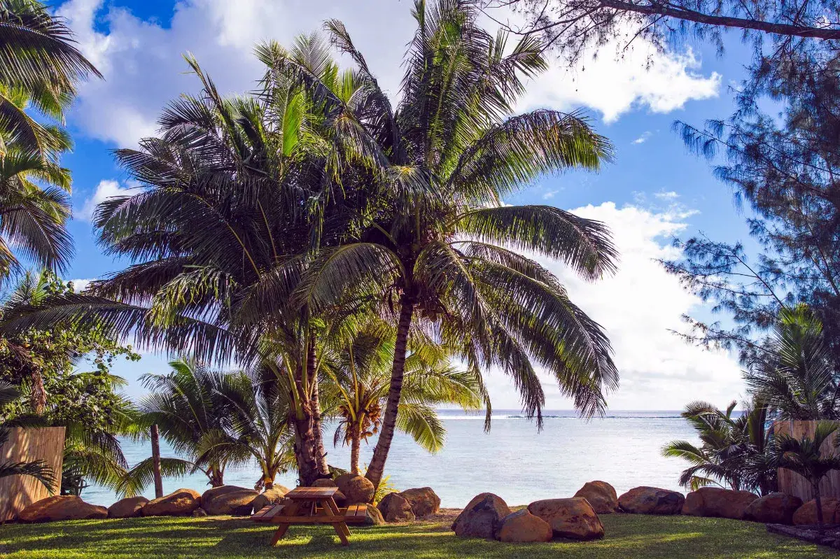 Pae Moana photo 2