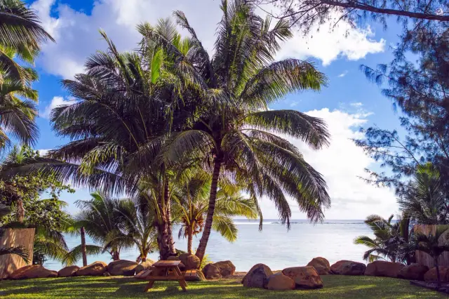 Pae Moana photo 2