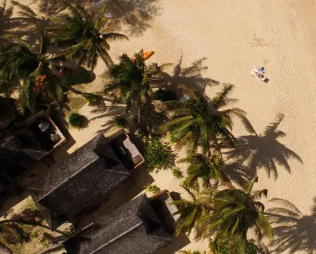 Palm Grove