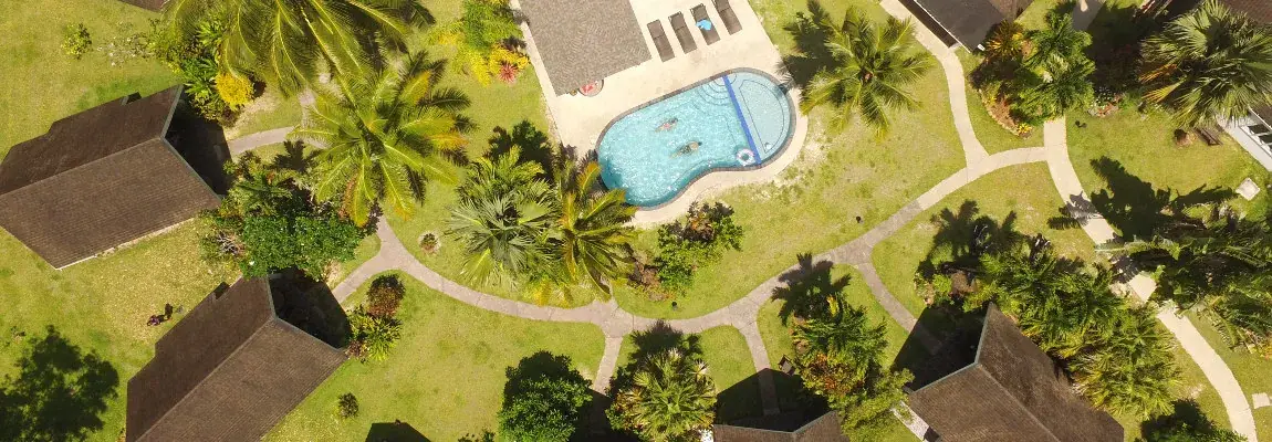 Palm Grove photo 2