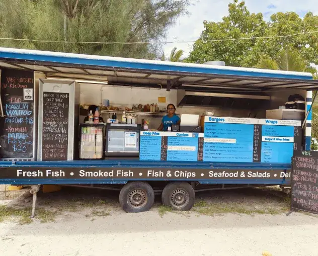 Vibe Fish Van