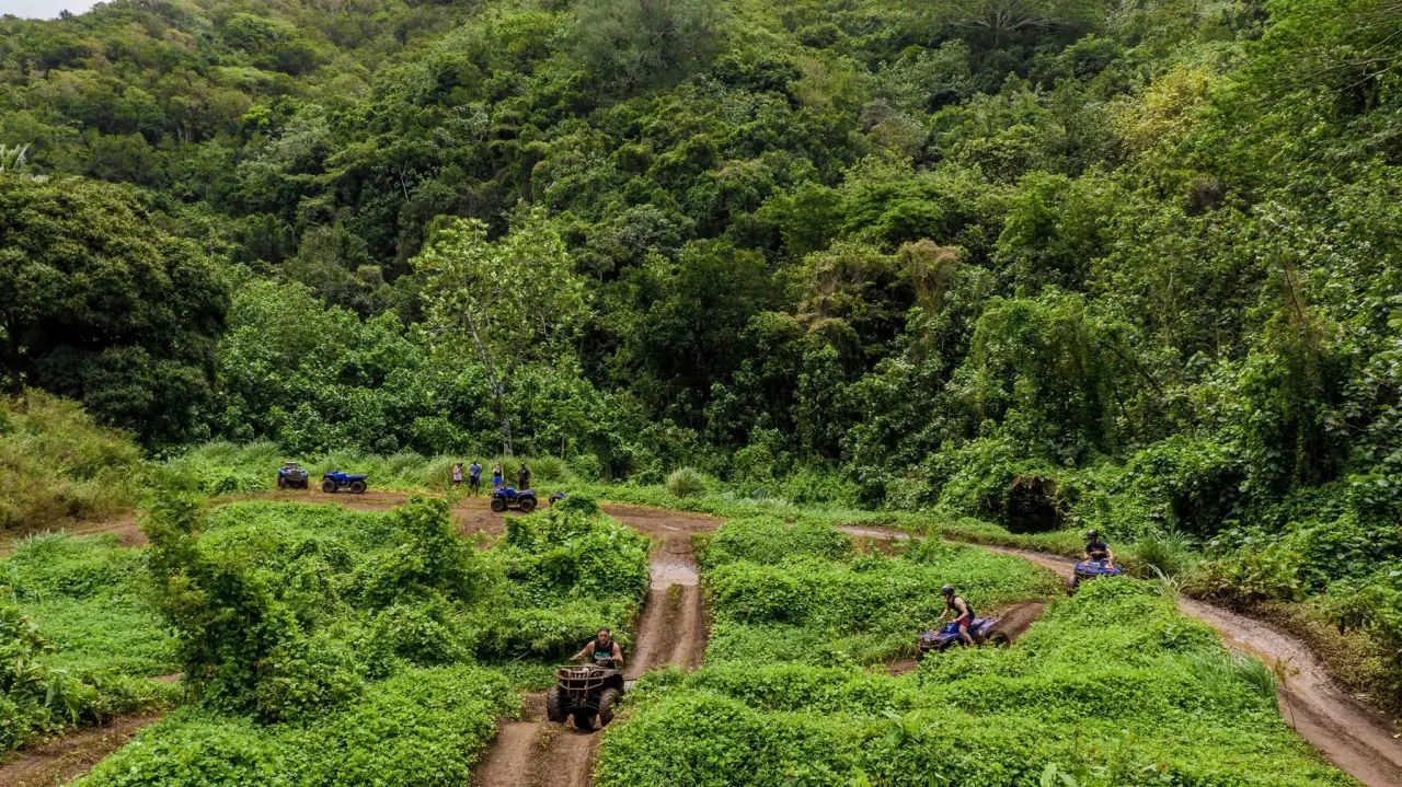 Raro Quad Tours photo 4