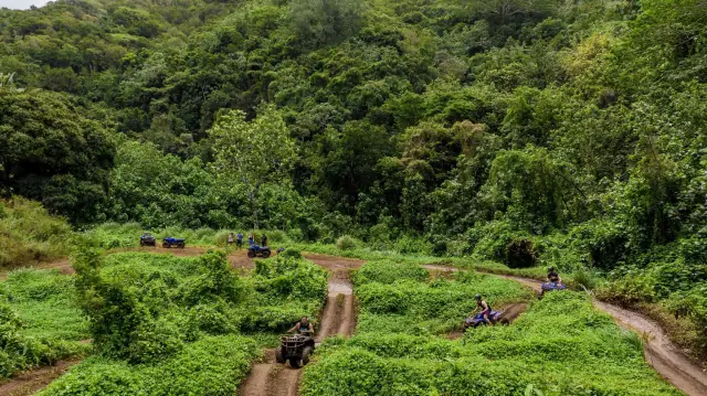 Raro Quad Tours photo 4