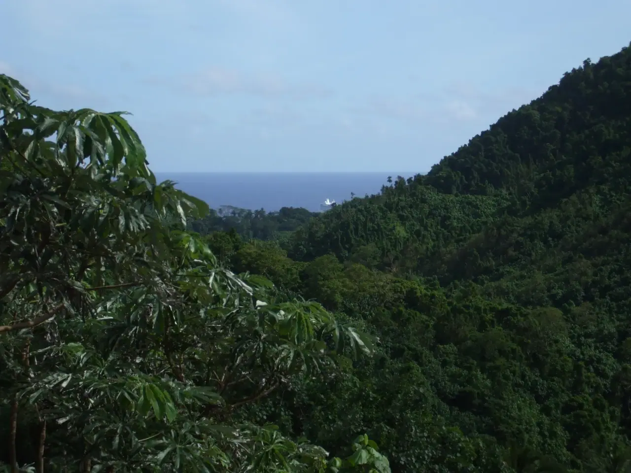Raro Safari Tours photo 3