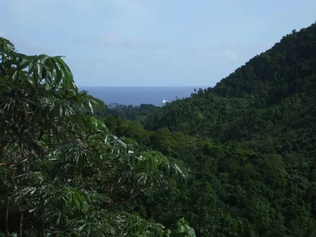 Raro Safari Tours photo 3