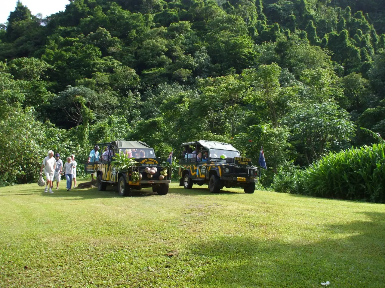 Raro Safari Tours photo 6