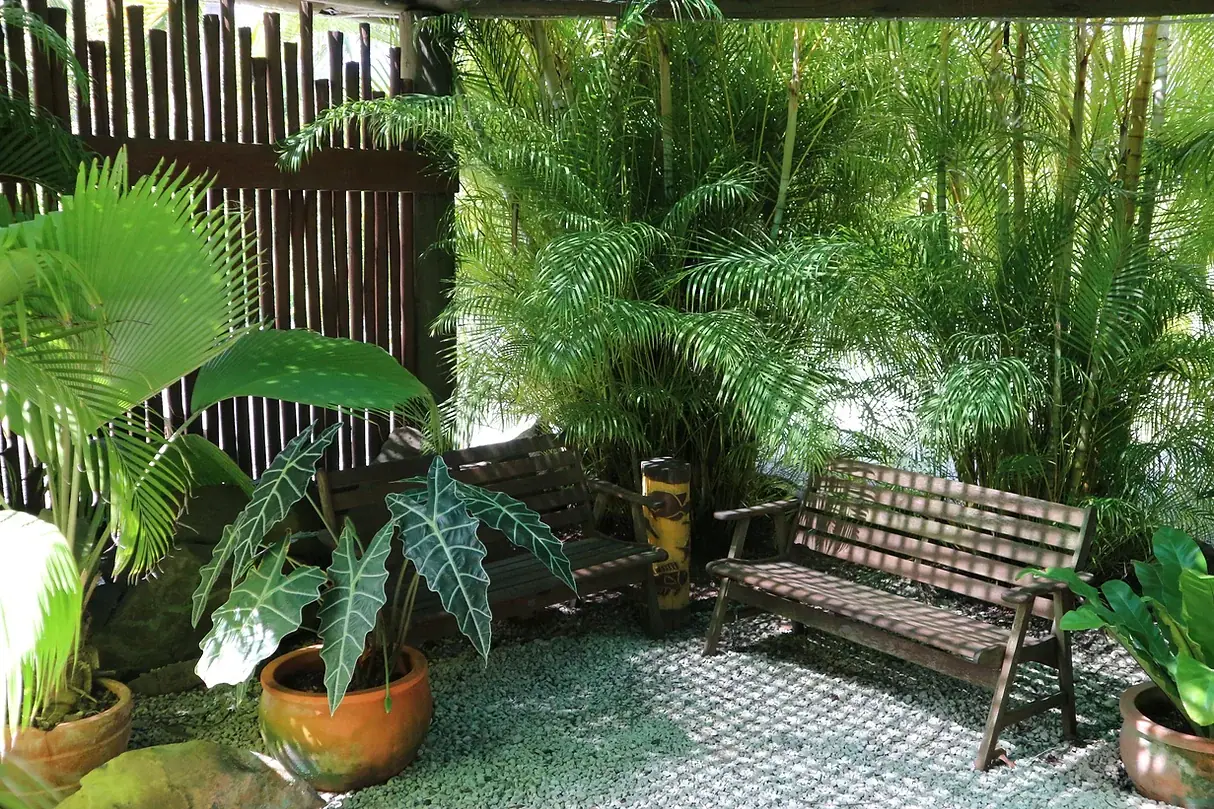 Rarotonga Beach Bungalows photo 2