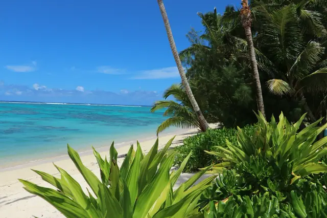 Rarotonga Beach Bungalows photo 3