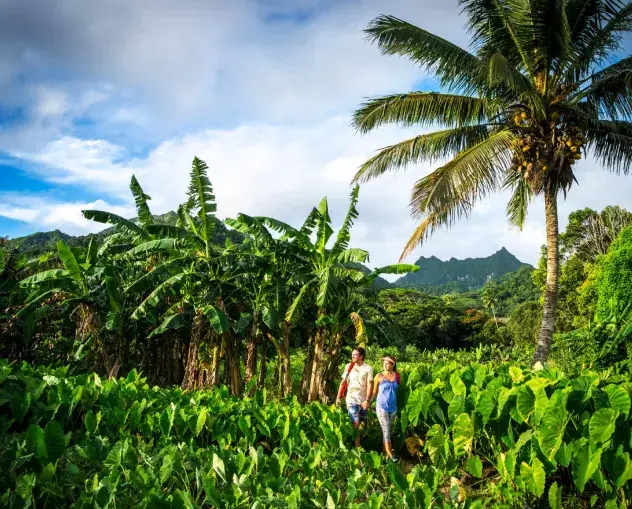 Rarotonga Ocean & Earth Private Tour with Raro Tours