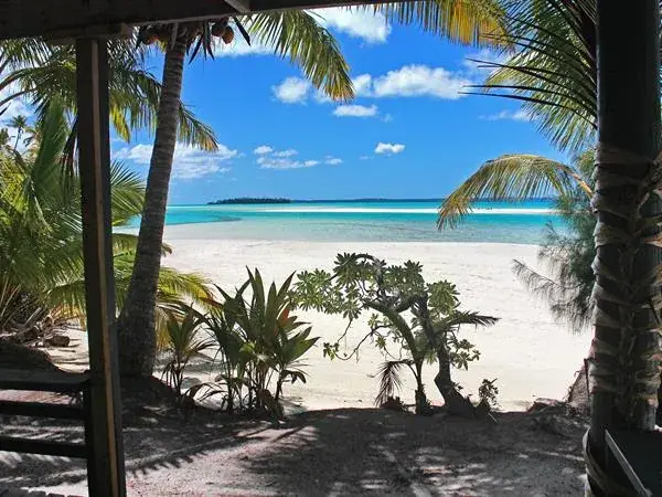 Mc Birney House - One Foot Island photo 4