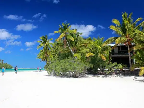 Mc Birney House - One Foot Island photo 2