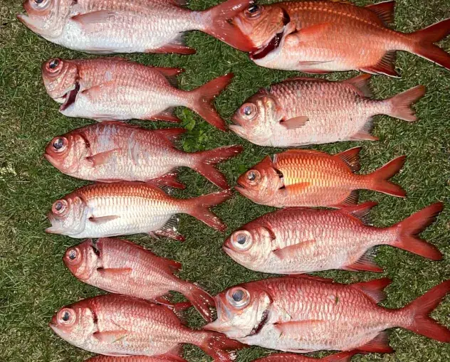Robbie’s GT fishing charters