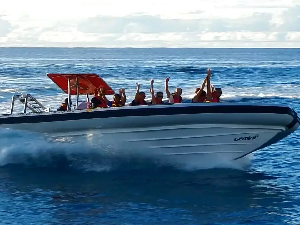 Rongohive Banana & Speedboat Tour photo 7