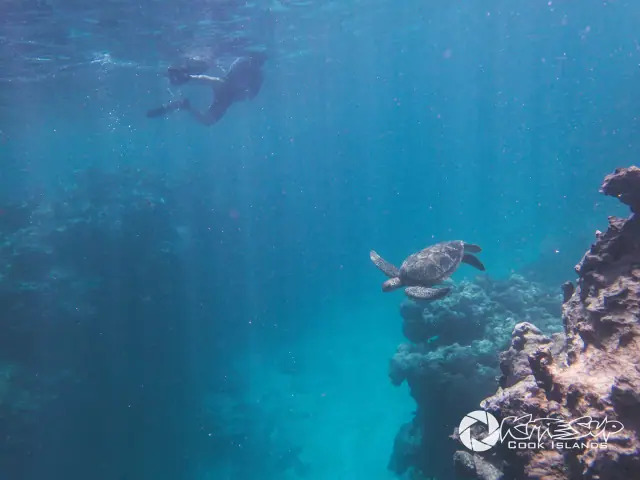 KiteSUP Shipwreck Snorkel Tour photo 5