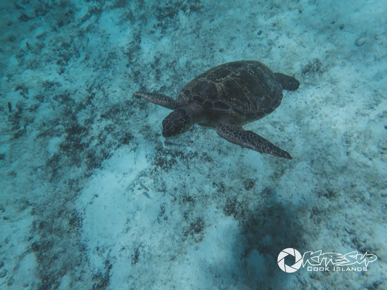 KiteSUP Shipwreck Snorkel Tour photo 2