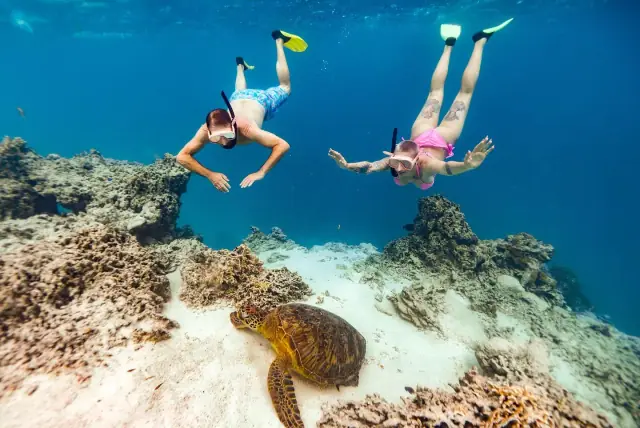 Snorkel Cook Islands photo 2